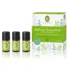 Primavera Trousse à pharmacie parfumée Coffret parfum 1000 ml