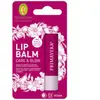 Primavera Baume pour les lèvres Care &amp; Glow Baume à lèvres 10 g