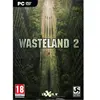 Pc Games Pc Wasteland 2