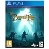 PLAION Bard's Tale 4 Director's Cut Jeu PS4