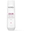 Goldwell Dualsenses Color shampoing protecteur de couleur 250 ml