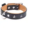 Collier en cuir Heim Stars, noir taille 60 tour de cou 45-55 cm - pour...