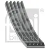 FEBI 40324 Courroies de Distribution