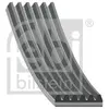 Courroie d'accessoires FEBI BILSTEIN 28933 - Réf. 28933