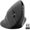 Souris sans fil Speedlink Piavo - Noire - Ergonomique, Verticale