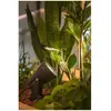 SLV Lampe sur piquet Samrina, noir, plastique, hauteur 13 cm