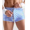 Boxer marin Sailor M