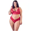 Cottelli Collection Ensemble soutien-gorge en dentelle avec entrejambe ouvert