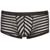 Svenjoyment Boxer Ajouré Noir Taille S