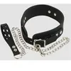 Bad Kitty Collier & Laisse Silicone