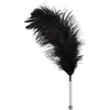 Bad Kitty Plumeau Plume Noire