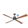 Casafan - Ventilateur de plafond Eco Neo iii WiFi 152 bg nr-tk