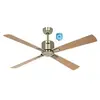 Casafan Eco Neo Iii Ventilateur De Plafond 132cm Avec Moteur Wifi 9442...