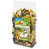 500g Salade de fruits JR Farm pour rongeur - Friandise pour rongeur et lapin
