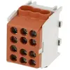 bis-electric Bornier marron enclipsable sur rail DIN pour câble Phase Bor-Marron-3M