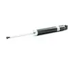 BILSTEIN Amortisseurs pour CITROËN: C4 & PEUGEOT: 307 (Ref: 19-113128)