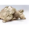 Kare Statuette décorative 60276 Tortue dorée 11 x 26 x 20 cm