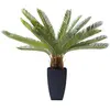 Plante décorative Cycas 78cm Kare Design