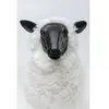 Déco mouton blanc 48cm Kare Design TU