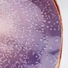 Kare Design Assiette plate en grès violet D20 - Lot de 4