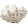 Vase Concha 29cm Kare Design TU