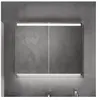 GEBERIT OPTION - ARMOIRE DE TOILETTE AVEC ÉCLAIRAGE, 900X700X150 MM 50