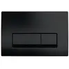 Geberit Delta 50 Plaque de commande double touche, Noir mat (115.119.1...