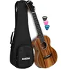 Cascha HH 2311 Ténor Acacia