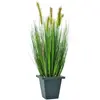Europalms 61259 Plante de Décoration Watergrass en Pot Vert 60 cm
