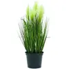 Europalms 61261 Plante de Décoration Feathergras Blanc/Vert 60 cm