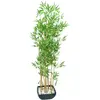 Europalms 61331 Plante de Décoration Bambou dans Bol Vert 150 cm