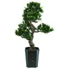 Europalms 61428 Plante de Décoration Bonsaï Podocarpus Vert 80 cm