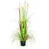 Europalms 61431 Croissance Sauvage Vert 120 cm