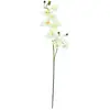 Europalms 61389 Plante de Décoration Orchidée Spray Blanc Crème 100 cm