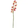 Europalms 61383 Plante de Décoration Cymbidiumspray Crème/Rose 90 cm