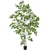 EUROPALMS Bouleau, plante artificielle, 180cm - Arbres