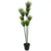 EUROPALMS Plante papyrus, artificielle, 150cm - Fleurs