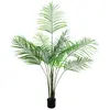 Europalms 185 cm Areca Palmier, Vert avec Motif Feuilles