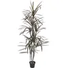 Europalms EUROPALMES Dracaena, vert-rouge, artificiels, 180cm - Fleurs