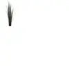 EUROPALMS Herbe de branche de saule, artificielle, 183cm - Herbes