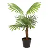 EUROPALMS Palmier éventail, plante artificielle, 88cm - Palmiers
