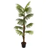 Eurolite EUROPALMS Palmier éventail, plante artificielle, 155cm - Palmiers