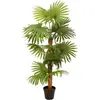 EUROPALMS Palmier éventail, plante artificielle, 130cm - Palmiers