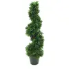 Europalms 61414 Plante de Décoration Arbre Spirale Vert 61 cm