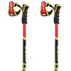 Leki Alpino Bâtons Wcr Gs 3d