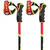 Leki Alpino Bâtons Wcr Gs Carbon 3d