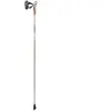 LEKI Kije Passion 115 cm Vert/blanc