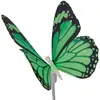 Näve Lampe solaire déco Papillon, piquet, LED RVB