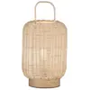 FISCHER & HONSEL Nature Lampe de table, 50738,