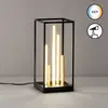 FISCHER & HONSEL Lampe de table LED Grid, noir/or, métal, CCT, intensi...